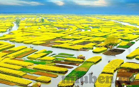 麻豆传谋app下载b站-麻豆传谋app，探索B站下载体验的全面解析